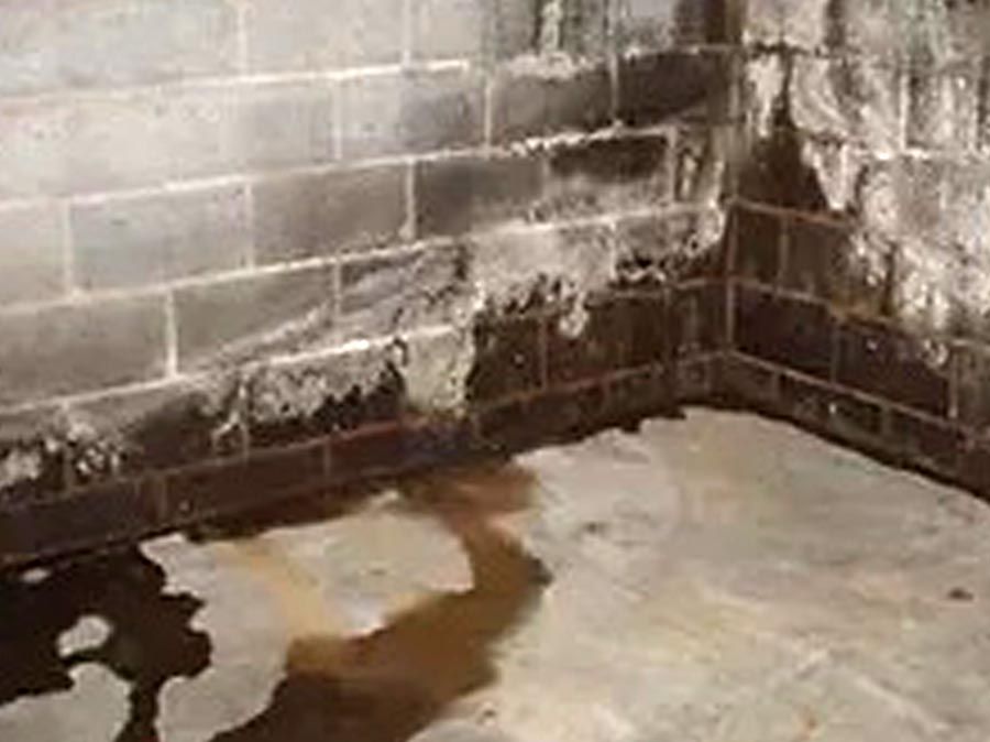 Basement Waterproofing Alamo TN Before
